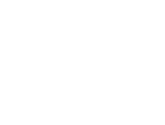 CyberBuzz